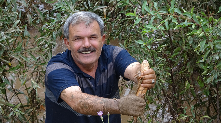Binlerce balık öldü: Balıklar için birbiriyle yarıştılar