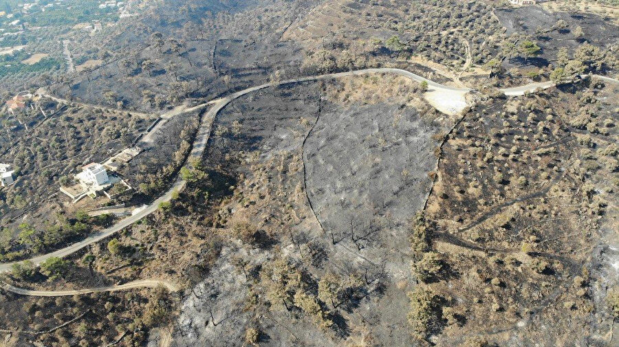 Muğla'da yanan alanlar