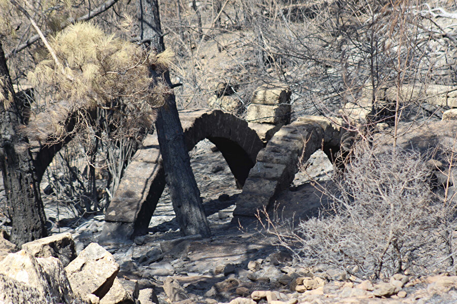 Yangında Lyrbe Antik Kenti de kül oldu