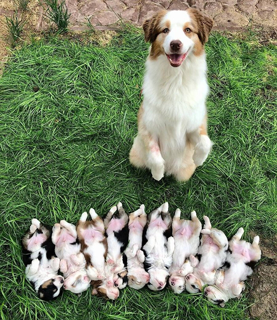 &quot;Hepsini ben doğurdum, hepsini!&quot;