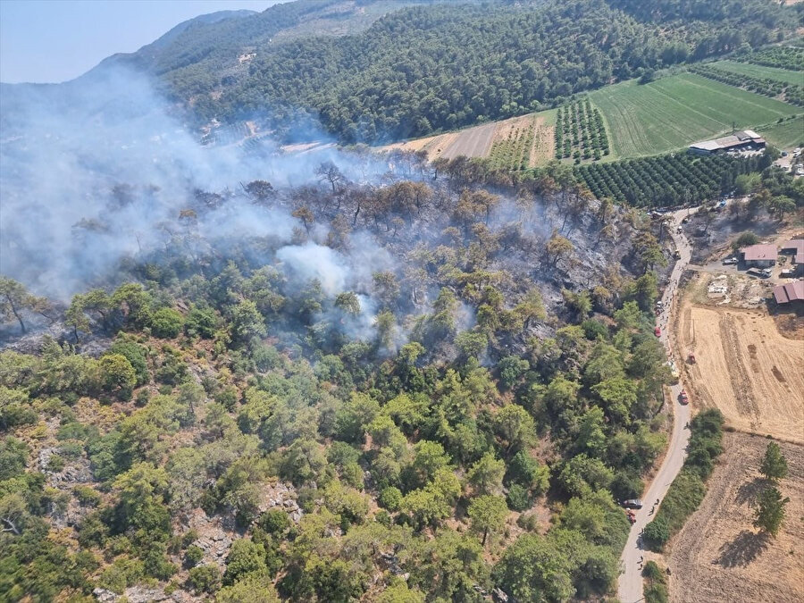Bir orman yangını da Dalaman'da başladı