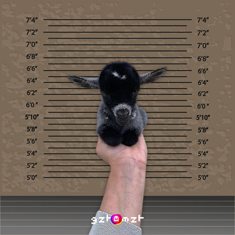 Bu kadar tatlı olduğun için suçlusun! 🥲