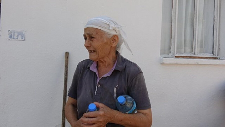 Aslan ailesi Aydın'daki yangınlarla kahroldu