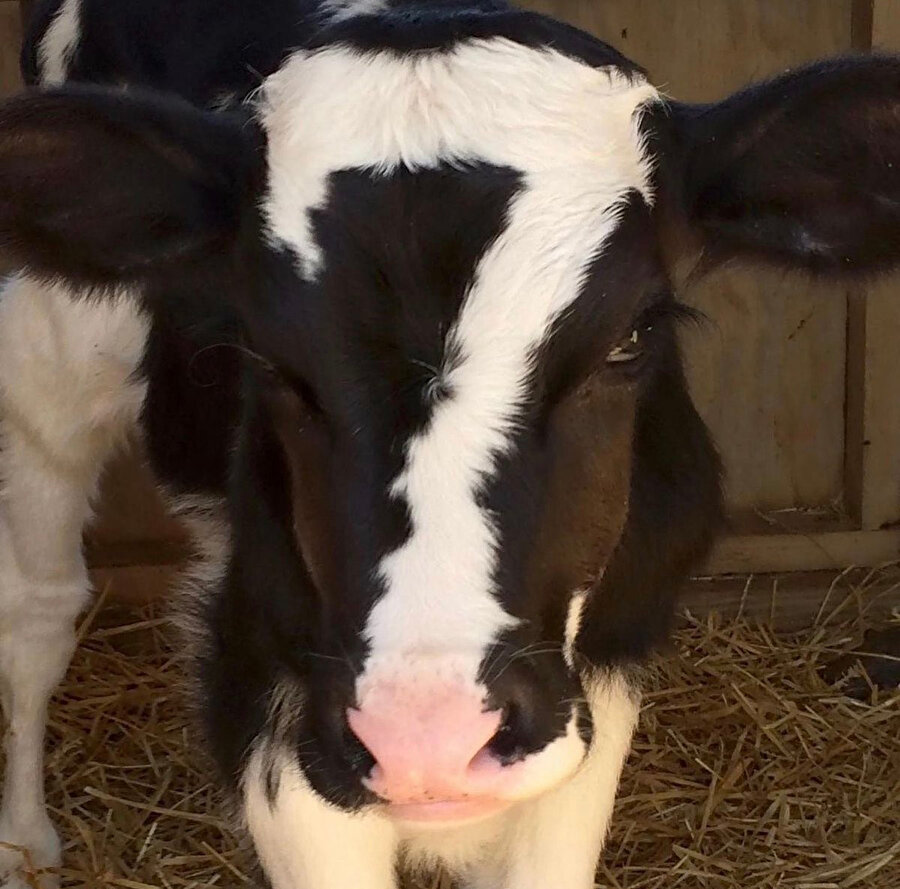 Alnına ''7'' dövmesi yaptırmış