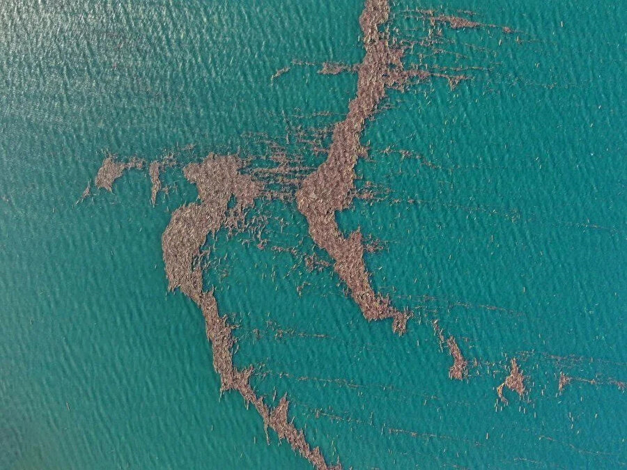 Sel felaketinden sonra Karadeniz'de adacıklar oluştu