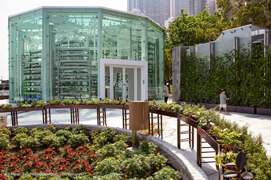 Farming Table (Tarım masası), Greenhouse ve yeşil duvar.