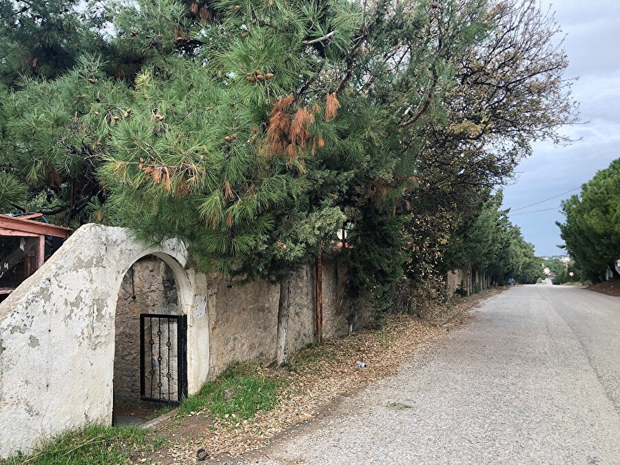 Dalyan Köyü yolu ve Gürel Yazlık Evi’nin dış duvarı. Fotoğraf: Uluç Algan