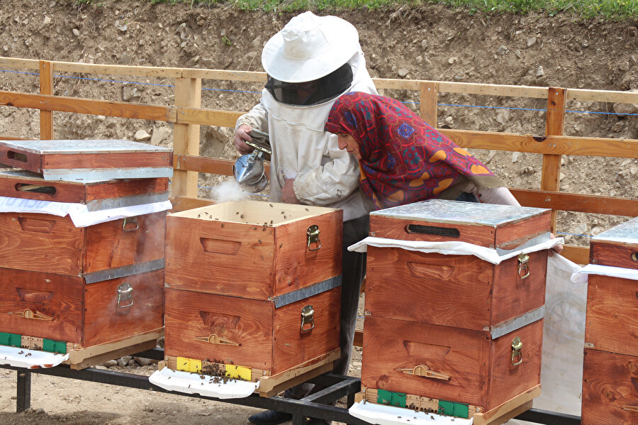 Kilosu 1200 TL oldu: 1 ton sipariş edildi