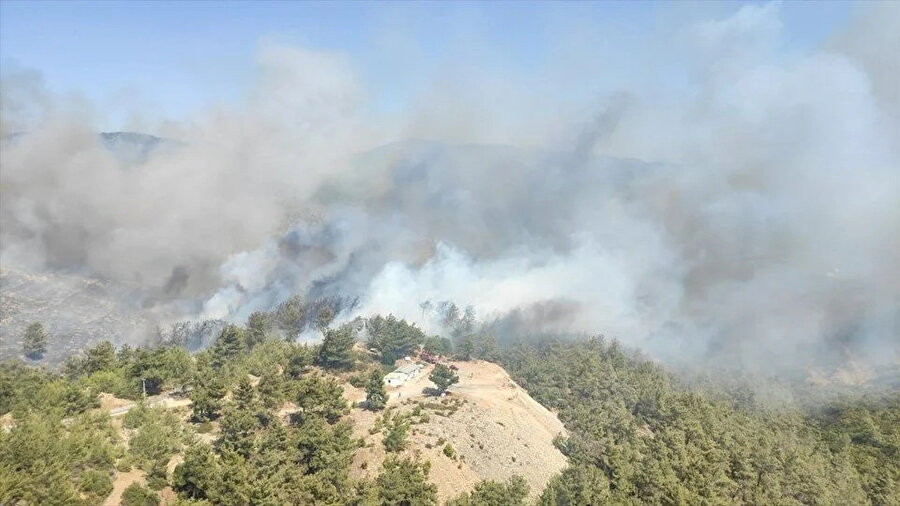 Yangın alanından bir görüntü