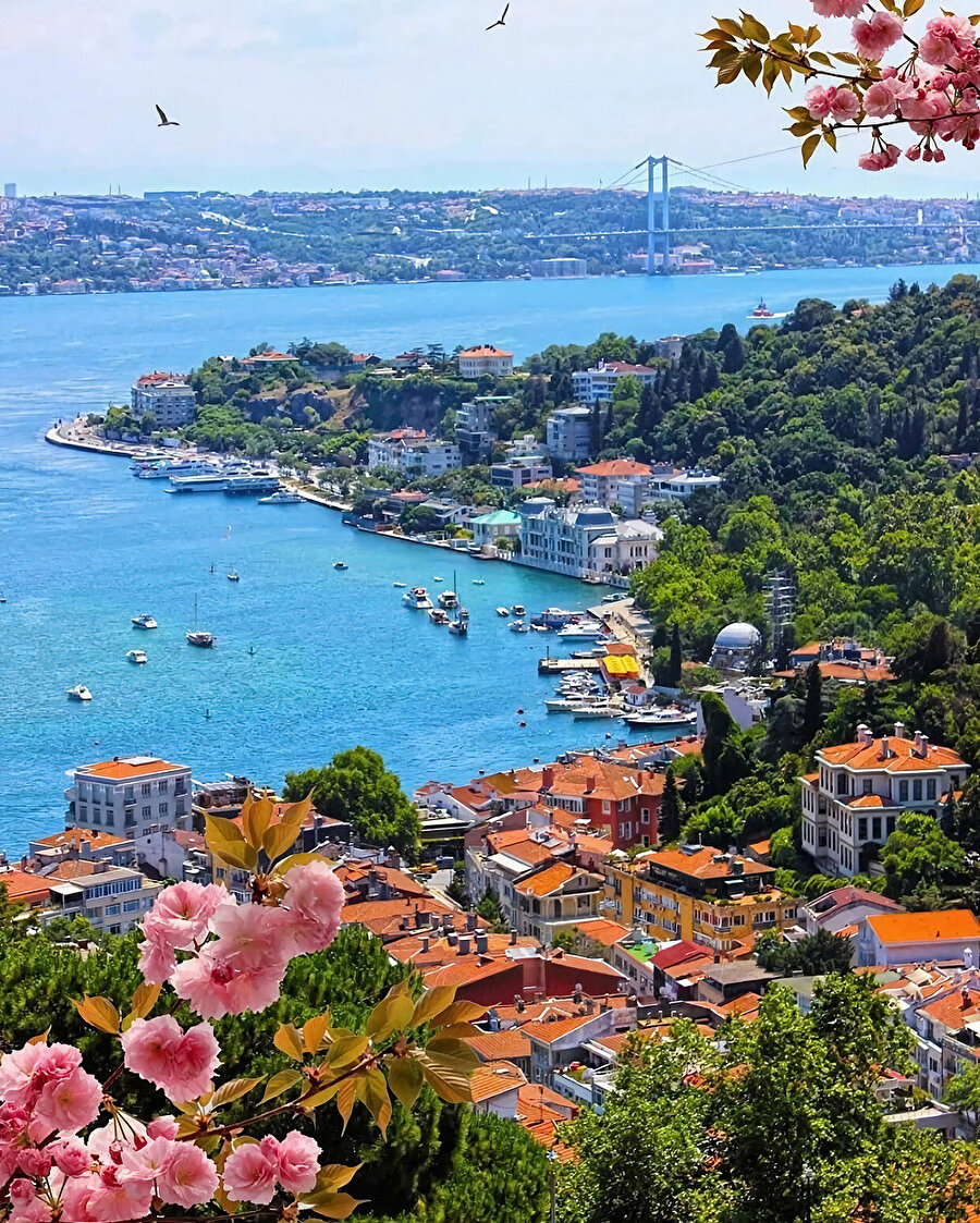 Beykoz, İstanbul'un bir ilçesidir.