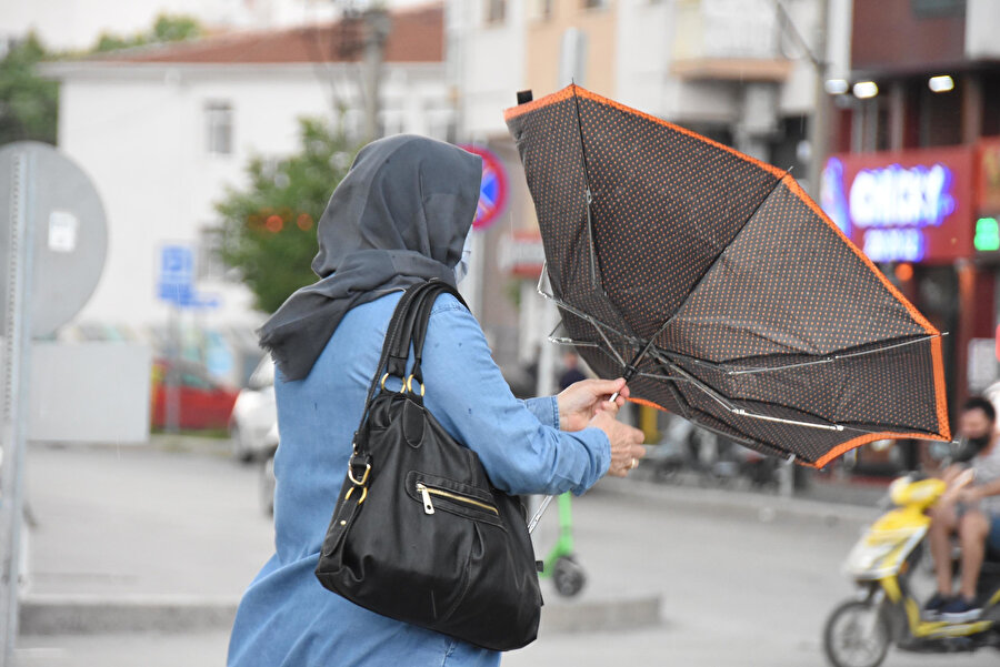 Arşiv