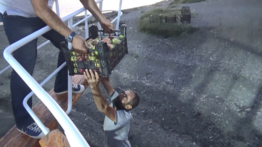 Fırsatçılara satmadı: 30 ton elmayı ücretsiz dağıttı