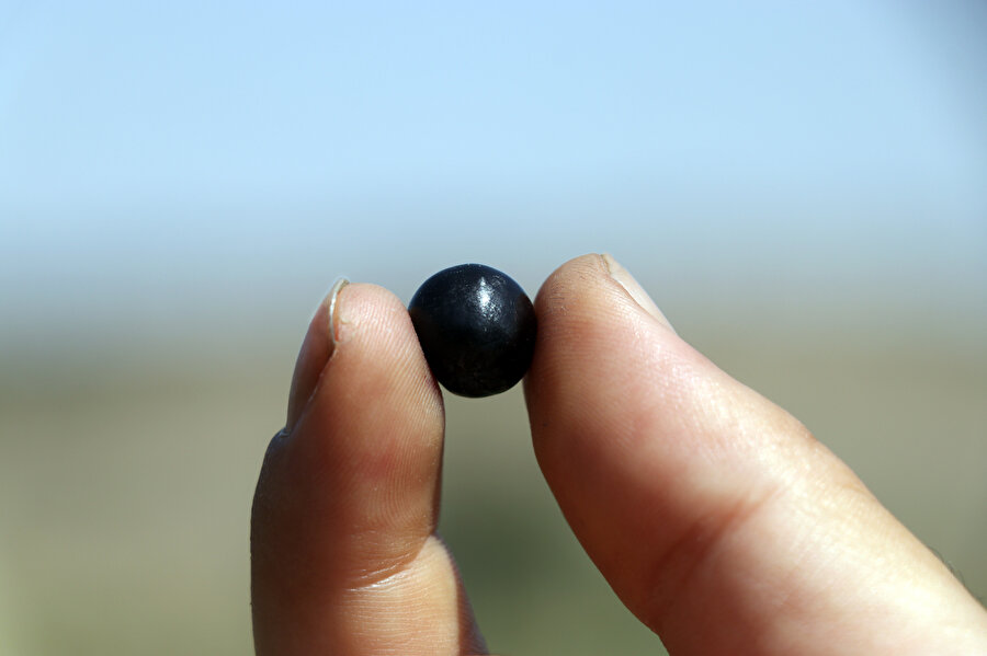 Eşinin sağlığı için yetiştirmeye başladı: Taleplere yetişemiyor