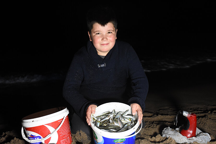 Tonlarca balık kıyıya vurdu: Vatandaşlar kova ve poşetlerle sahile koştu
