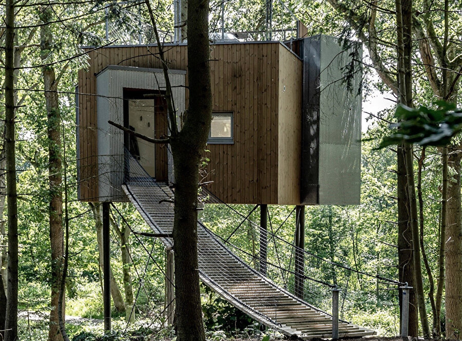 Treetop Hotel Løvtag Danimarka.