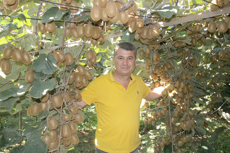 Burada yetişmez diyenleri dinlemedi: Şimdi yurt dışına ihraç ediyor