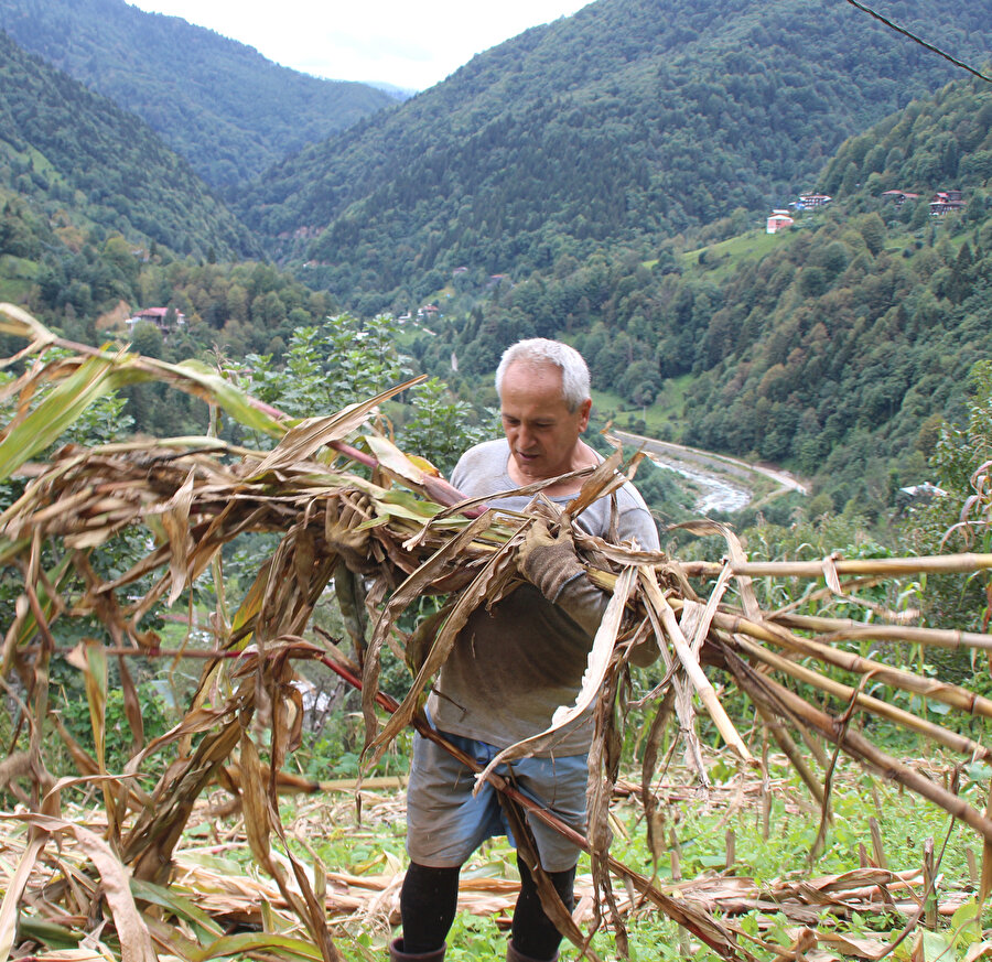 Büyükelçi Myanmar'a atanmasına rağmen gidemedi, kendini bahçe işlerine verdi