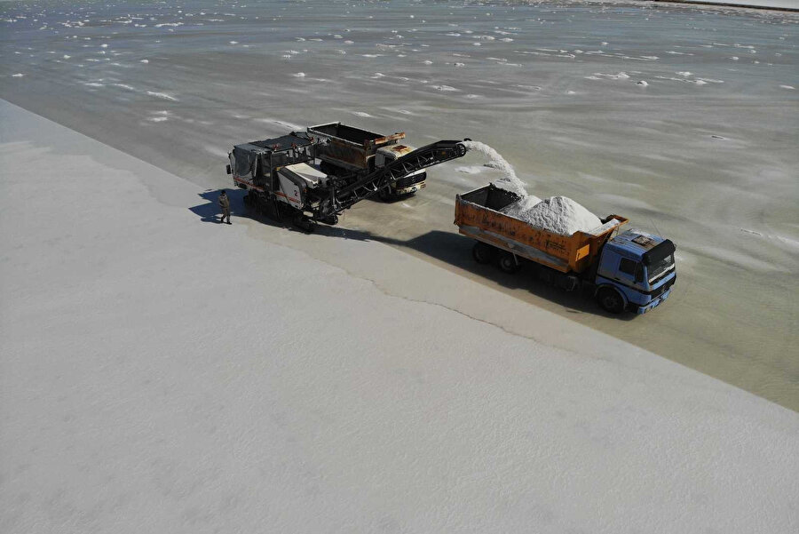 Ekin yok hasat var: Toplanıp 60'tan fazla ülkeye ihraç ediliyor