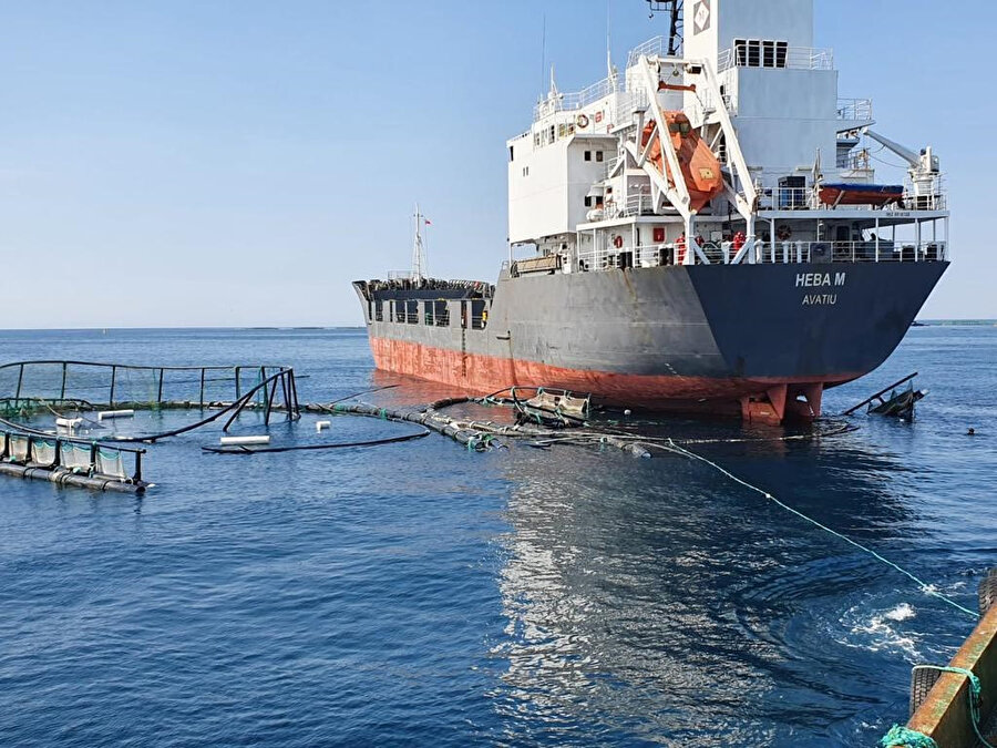 Gemi balık çiftliği havuzlarına çarptı: 750 bin balık denize kaçtı