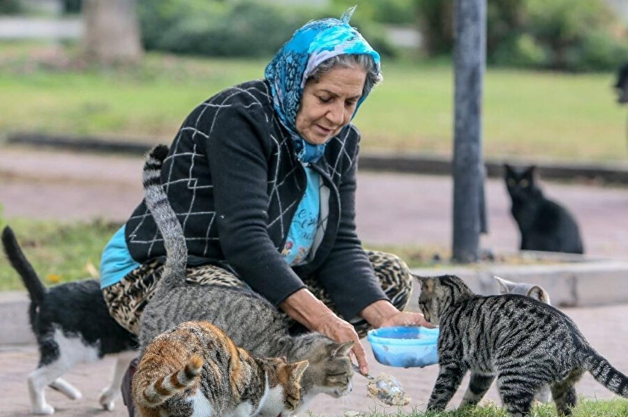 Sahilin kuytularından siyahıyla beyazıyla, bin bir renge boyanmış kürkleriyle kediler sökün etti.