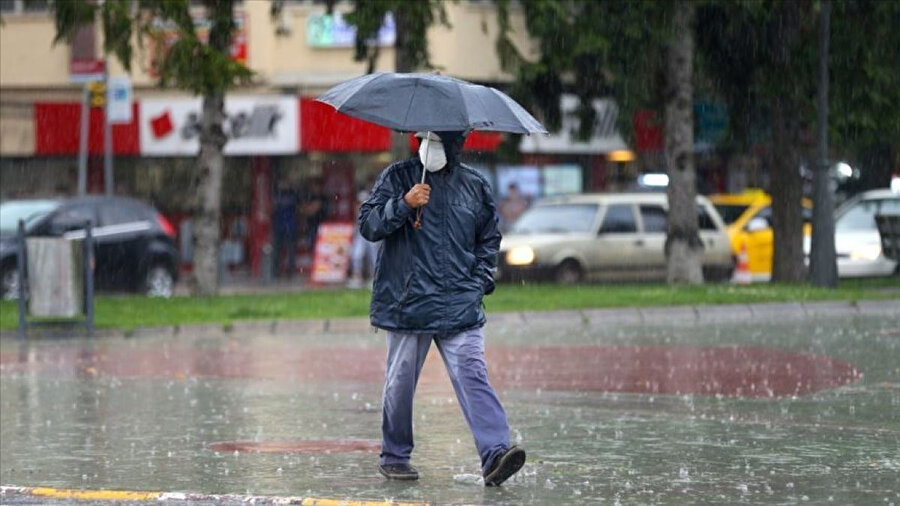 Arşiv