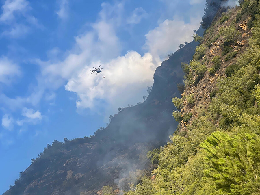Muğla'daki orman yangını kontrol altına alındı