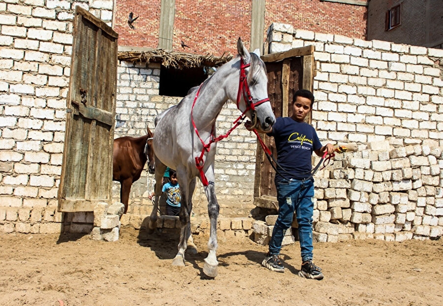 Atlar mesleği küçüklükten öğrenmeye hevesli çocuklar tarafından haralarından çıkarılarak, eğitim sahasındaki ustalarına teslim ediliyor.