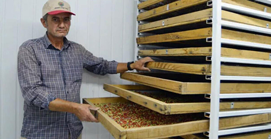 Paraya para demiyor: Hobi olarak başladı, şimdi Avrupa'ya ihraç ediyor