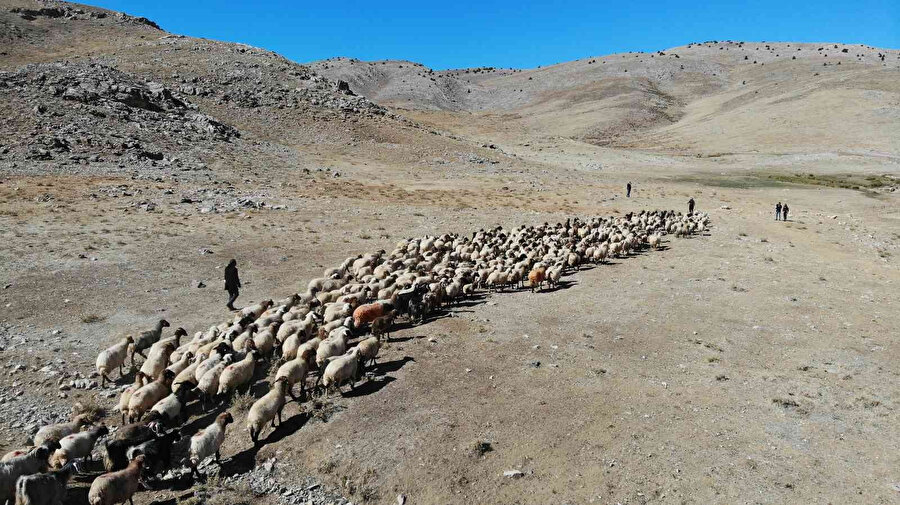 Sorun her geçen gün artıyor: 5 bin TL maaşa çalışacak bulunamıyor