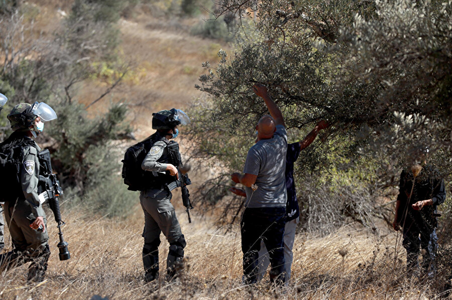 İsrail askerlerinden Filistinlilerin zeytin toplamasına engel.