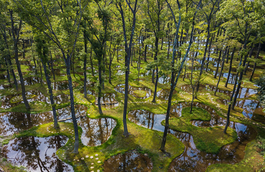 Art Biotop Water Garden.