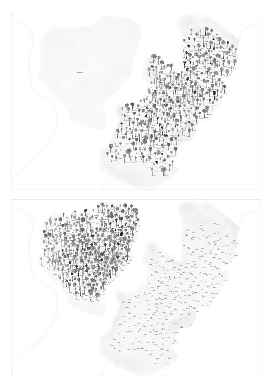 Tek tek tespit edilen ağaçların özgün ve yeni yerlerini gösteren çalışma.