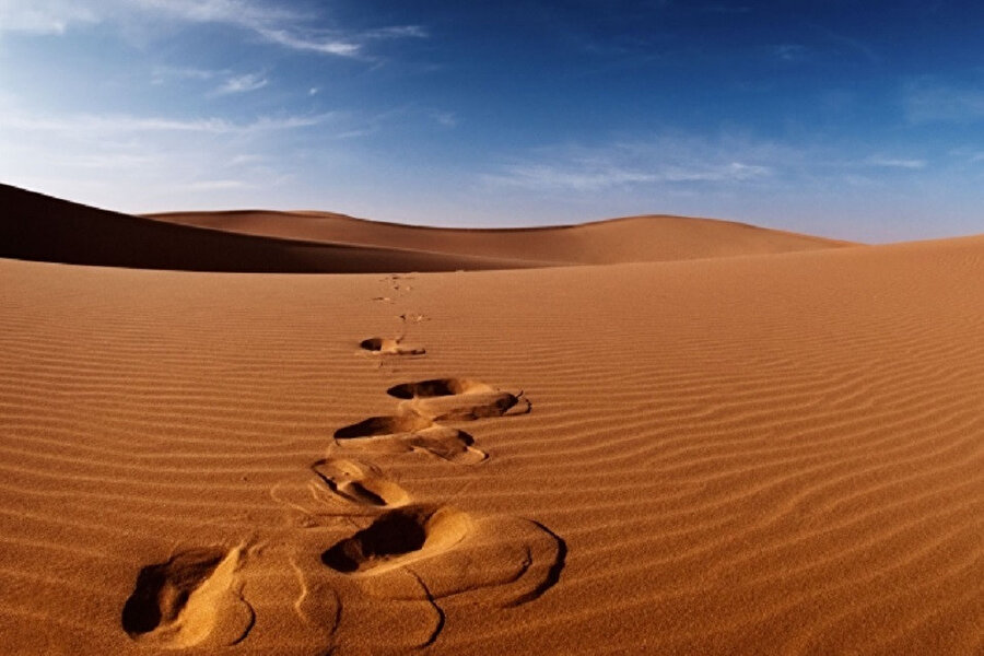 Buas Savaşı'nın Medine'ye hicretteki rolü tartışma götürmez. Hz. Aişe &quot;bu Allah'ın Rasullullah için hazırlamış olduğu bir gündü&quot; buyurur. 