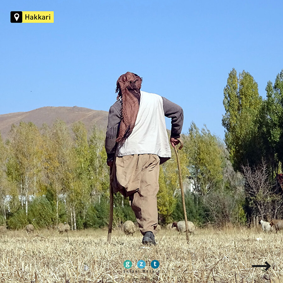 Tek bacağıyla 250 koyuna çobanlık yapıyor