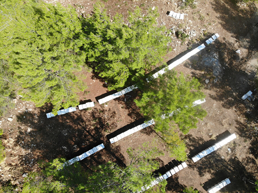 Tekstil mühendisi kadın mesleğini bırakıp bu işe başladı: 'Yapan güzel para kazanır'