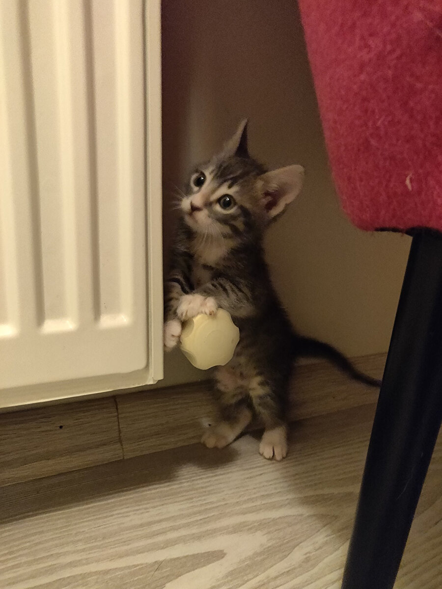 ​Üşüdüysen gençliğimi yakayım?