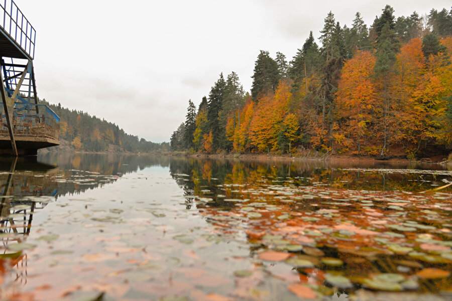 Yağlı boya tablosu gibi: 'Göletler Diyarı' göz kamaştırıyor