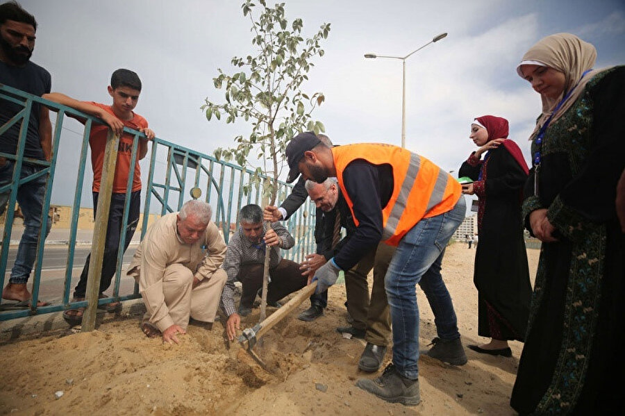 Gazze'deki ağaç dikme kampanyasında görevliler ve halk birlikte çalışıyor.