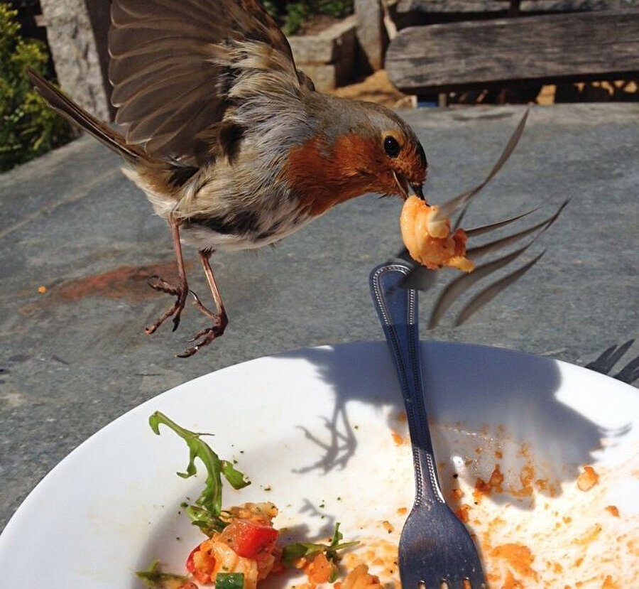 Fotoğraf makinesini doğru zamanda kullanan 9 kişi