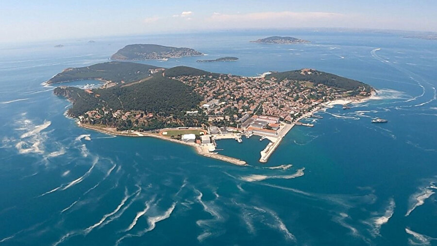 Arşiv