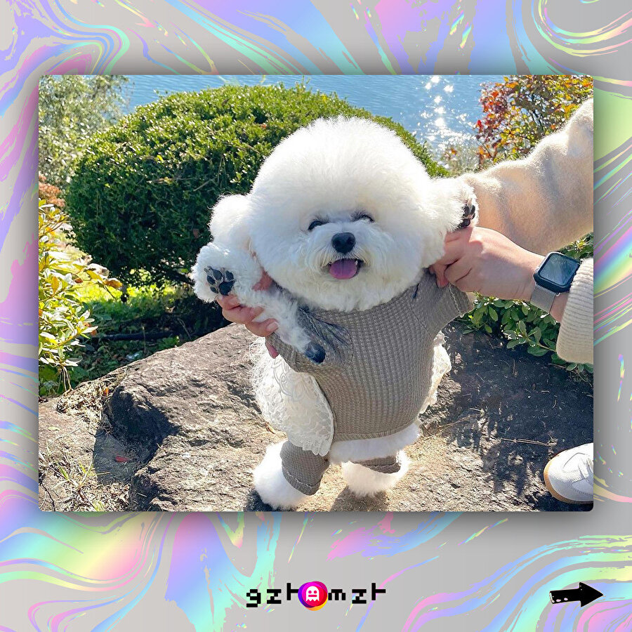 Günümüz güzelleşmesin mi? 🐩