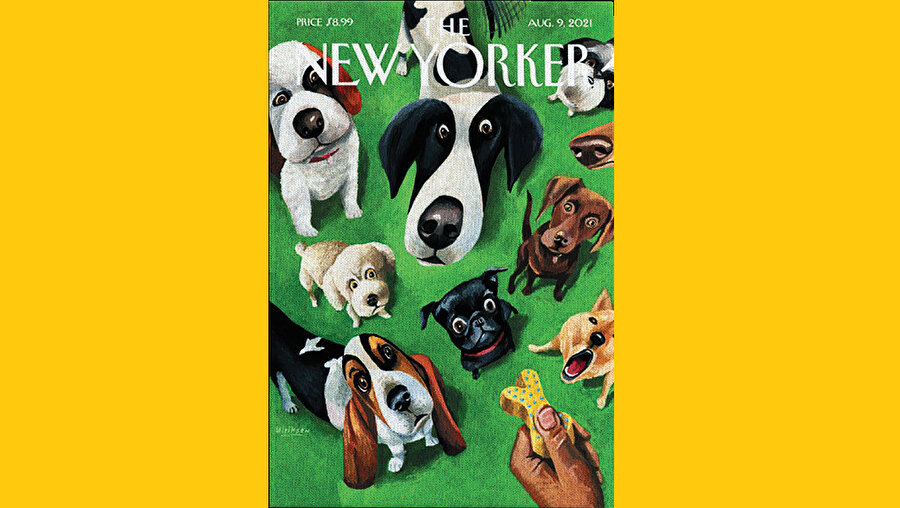 The New Yorker