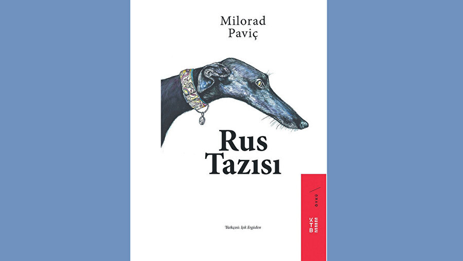 Paviç öyküsü bir anlığına bile olsa durulmaz, süt ile yumuşatılmamış korkunç bir öze sahiptir.