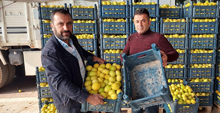 Kasanın fiyatı, içindeki limonu geçti