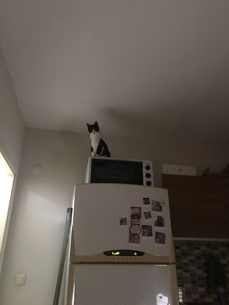 ​Zirvedeyim sesin gelmiyor