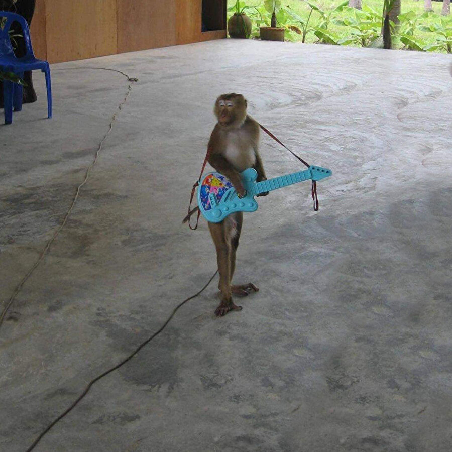 ​Muzlarımı geri veremem çaldığımı tekrar satamam 🎶