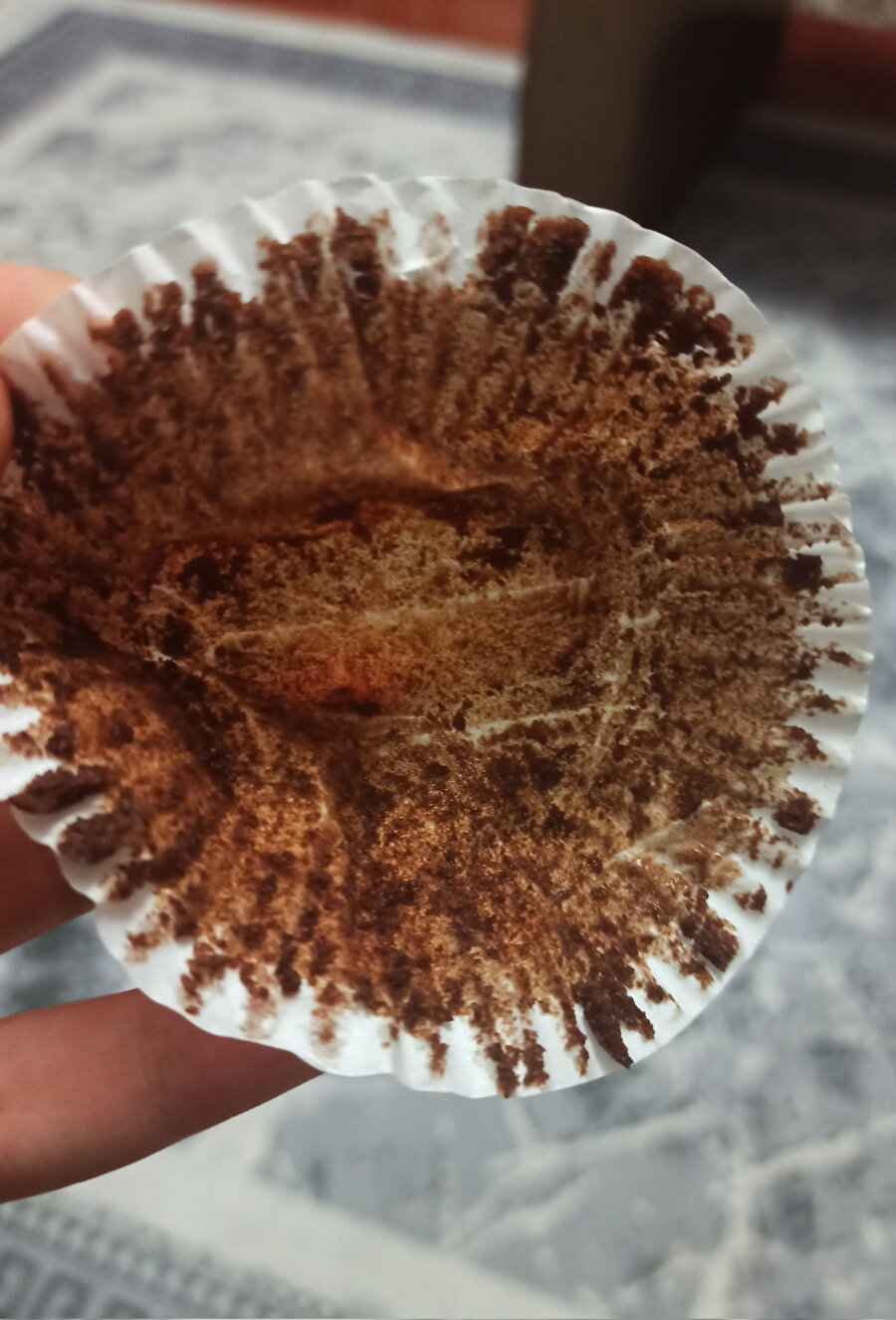 ​Browni'yi kağıdıyla yiyenler online mı?