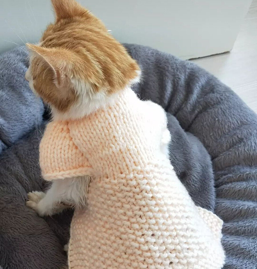 Sırtını sıcak tut guzum