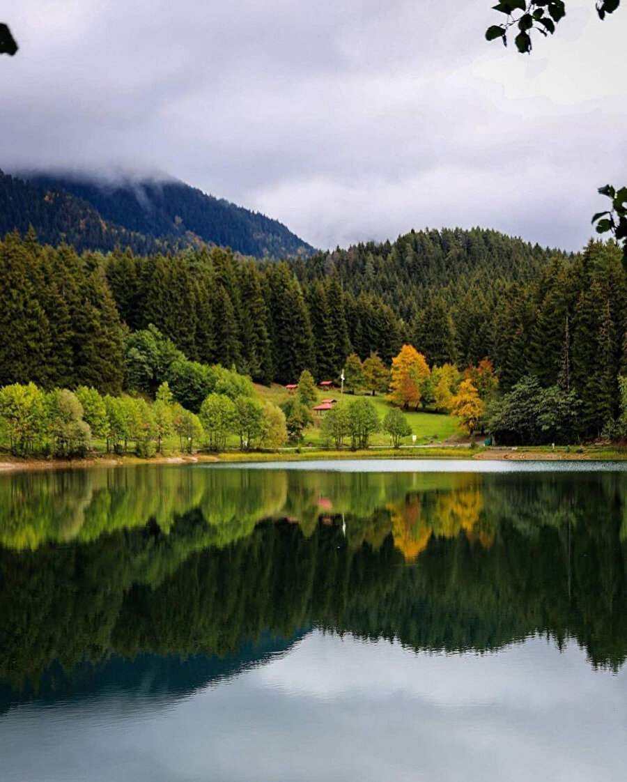 Artvin'nin sakin şehri Şavşat'ın doğa harikası: Karagöl Tabiat Parkı🙌