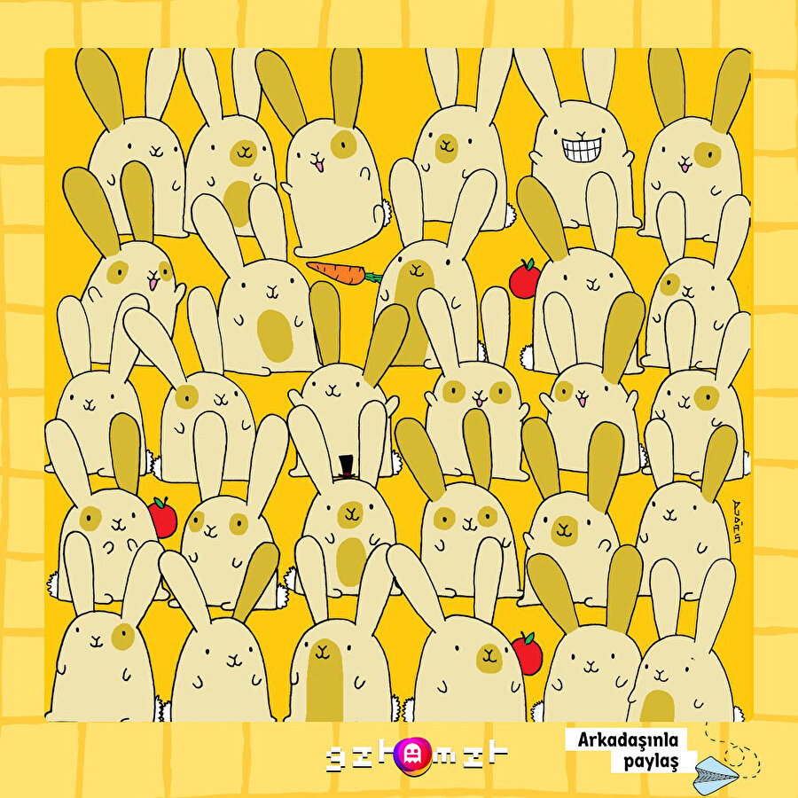 Eşi benzeri olmayan tavşanı ilk bulan kazanır